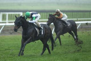 Summer's Day (NZ) claims the Listed Team Wealleans Tauranga Classic